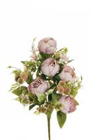 Bush Peonia C/Mini Fiori
