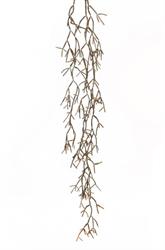 Pianta Rhipsalis Pendente Dry-Look 152 cm