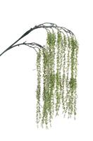 Ramo Betulla x3 Verde h 128 cm