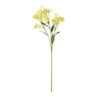 Ramo Daphne x3 Giallo