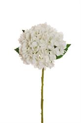 Ramo Ortensia Juliet