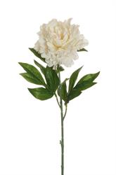 Ramo Peonia Crema h 76 cm Ø 14 cm