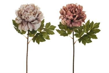 Ramo Peonia Harmony Assortito h 58 cm
