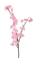Ramo Mandorlo Rosa h 102 cm