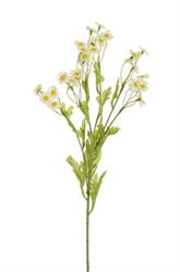 Ramo Camomilla Bianco h 53.5 cm