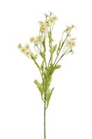 Ramo Camomilla Bianco h 53.5 cm