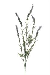 Ramo Lavanda x5 Spray h 72 cm