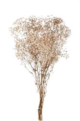 Gipsofila Preservata Crema/Bianco h 65 cm