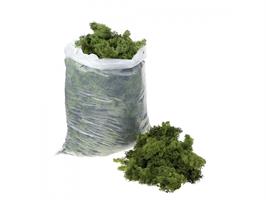 Muschio Nordico Verde Oliva Cf 1 Kg