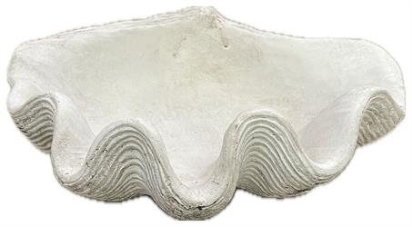 Shell Pot h 8.6 cm l 25x20 cm