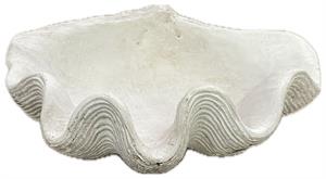 Shell Pot h 8.6 cm l 25x20 cm