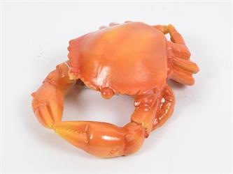 Granchio T l 11x8x5 cm