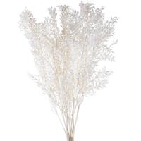 Ruscus Naturale Bianco h 95 cm