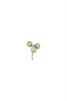 Sfera Vetro Mini Salvia Ø 2 cm
