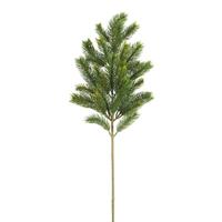 Ramo Pino Nordmann Verde h 65 cm