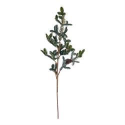 Ramo Pino Blue Spruce h 90 cm