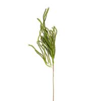 Ramo Pino Pendente Verde h 115 cm