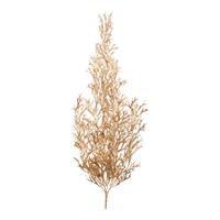 Ramo Alcicorno Oro