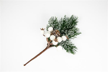 Pick C/Bacche E Pigna