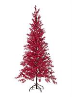 Albero Bacche