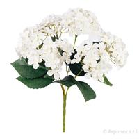 Bush Mini Ortensia x6 Bianco