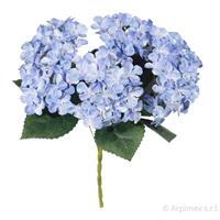 Bush Mini Ortensia x6 Blu