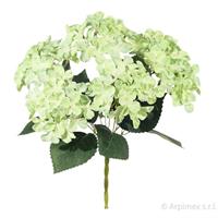 Bush Mini Ortensia x6 Verde