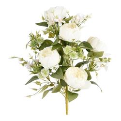 Bush Frontale Peonia x 12