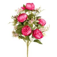 Bush Frontale Peonia x 12 Beauty