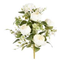 Bush Frontale Peonia x 12 Crema