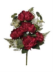 Bush Frontale Peonie