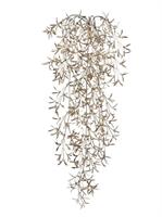 Bush Rosmarino Cadente Champagne h 75 cm