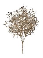 Bush Rosmarino Champagne h 37 cm