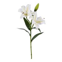 Ramo Lilium Real Touch