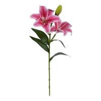 Ramo Lilium Real Touch Beauty h 68 cm