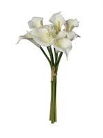 Mazzo Calle x9 Crema h 33 cm