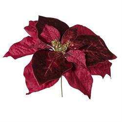 Pick Stella Di Natale