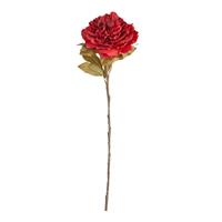 Ramo Peonia