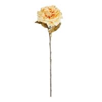 Ramo Peonia Beige h 68 cm