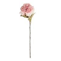 Ramo Peonia Rosa h 68 cm