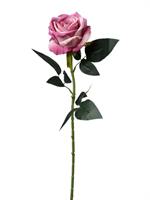 Ramo Rosa Singola Velluto Rosa h 74 cm
