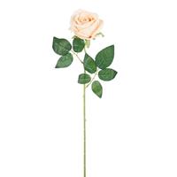 Ramo Rosa Juliet Avorio h 50 cm