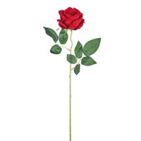 Ramo Rosa Juliet Rosso h 50 cm