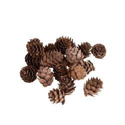 Mini Pigna Naturale In Rete 200 Gr