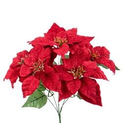 Bush Stella Di Natale x 5 Velluto Rosso h 35 cm