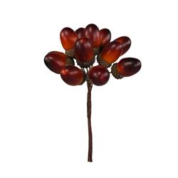 Mazzetto x 12 Ghiande Quercia Ø 2 cm