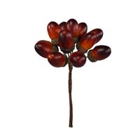 Mazzetto x 12 Ghiande Quercia Ø 2 cm