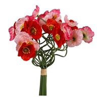 Bouquet x24 Anemone Rosa