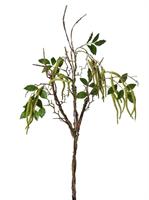 Ramo Amaranto Verde h 90 cm