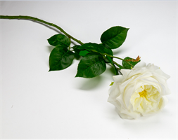 Ramo Rosa Gabbage Panna h 60 cm